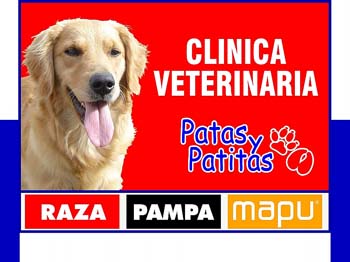 New_Patas y Patitas Cartel luminoso 4